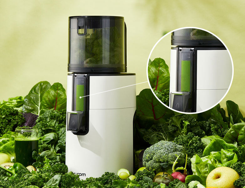 Hurom H400 Slow Juicer