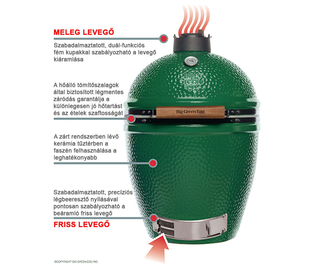 Big Green Egg Large