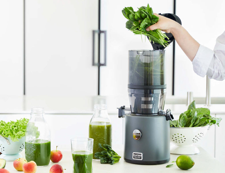 Hurom H330P Premium Slow Juicer