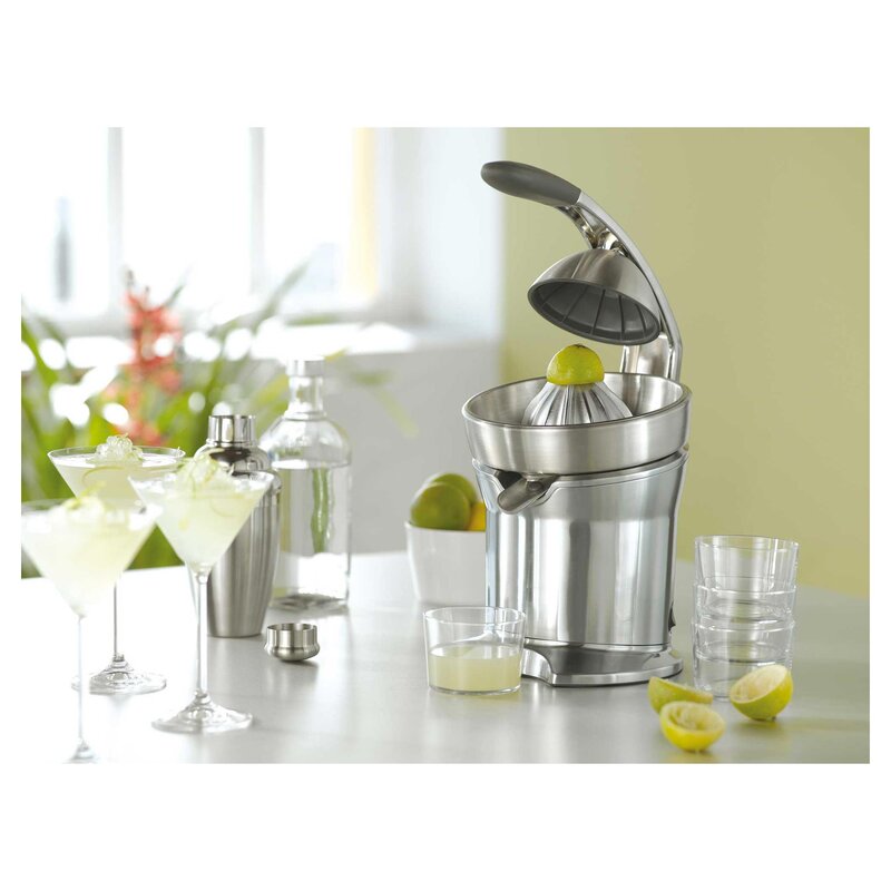 Sage THE CITRUS PRESS™ PRO Citrusprés 800CP