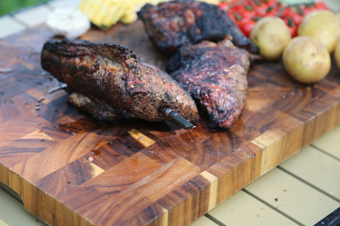 vesta-precision-vestemp-bp20-szonda-husban-grillen-kozel